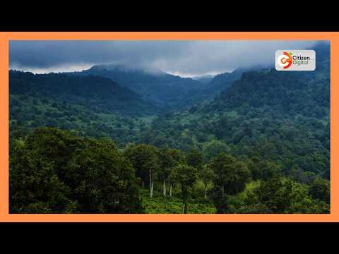 Forest Chief conservator Alex Lemarkoko urges residents to take part in conserving Tendeno forest