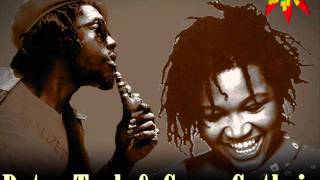 Peter Tosh &amp; Gwen Guthrie - Nothing But Love
