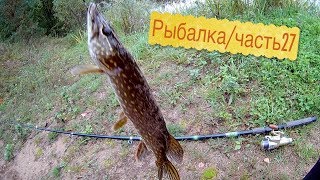 Моя рыбалка ловля щуки на живцаме