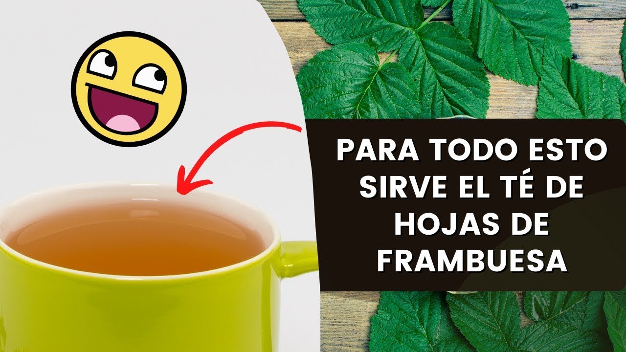 Té De Hojas De Frambuesa ✅ Propiedades, Beneficios Y Como Se Prepara El Te De Hojas De Frambuesa