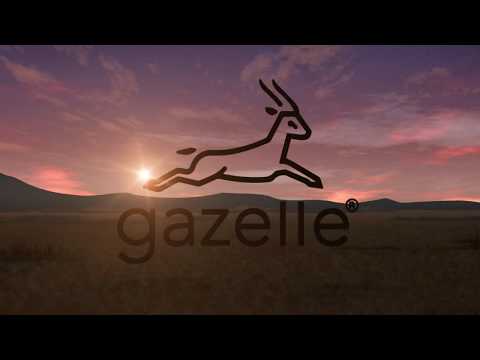 Introducing Gazelle