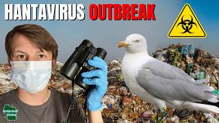 Did Bird Watchers REALLY Just Cause The Next Pandemic?