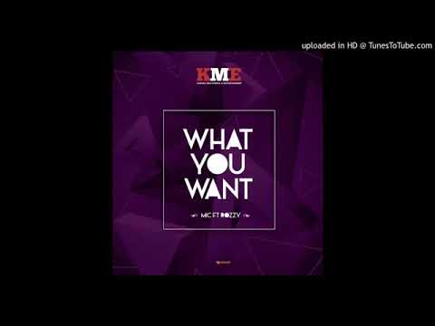 What You Want MIC X Rozzy