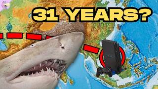 Bizarrely Late PS2 Licensed Games...