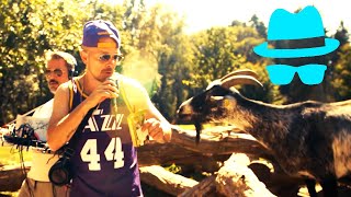 Halt dich an deiner Liebe fest - Freundeskreis || Jan Delay Cover (Tropf Session)