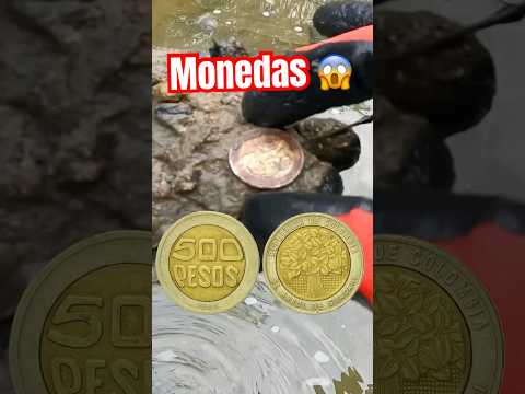 Moneda de 500 pesos Árbol de Guacari 🌳 #viral #metaldetecting #colombia