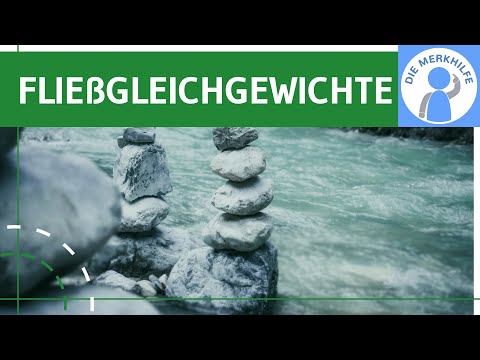 Fließgleichgewichte - Definition, Beispiel, dynamisches Gleichgewicht, gekoppelte Reaktionen erklärt