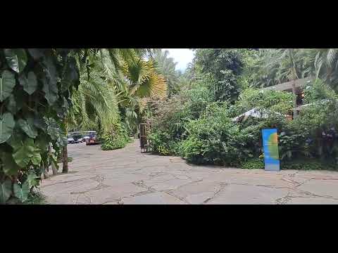 INSTITUTO Inhotim BRUMADINHO Minas Gerais 