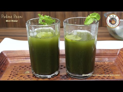 Pudina Pani Recipe | How to make Pudina Pani | Pudina Sharbat recipe