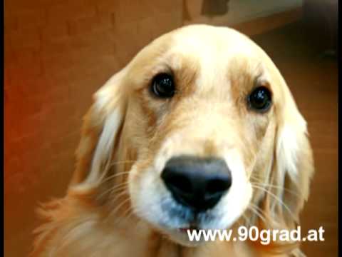 Happy Birthday Ulrike