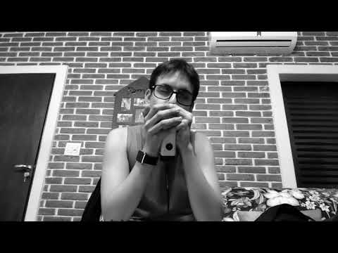 Voltando a estudar um pouco de gaita - Aloander