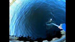 Grand River Catfishing
