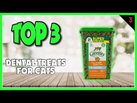 Best Dental Treats for Cats to Maintain Good Oral Health