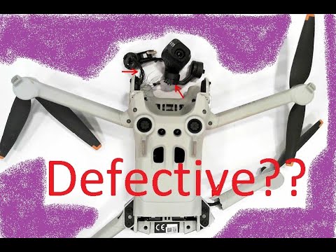 DJI Mini 3 Pro 1 Year Long-term Review with Special Guest Salem the Cat!