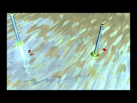 The Legend of Masamune and Muramasa (Mythology Monday)