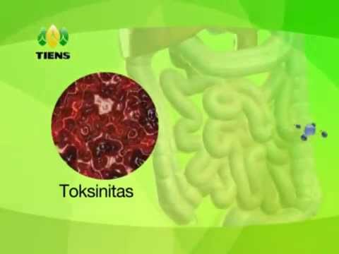 Prostatitis kongestif dan potensi Adjika Pikanta untuk potensi