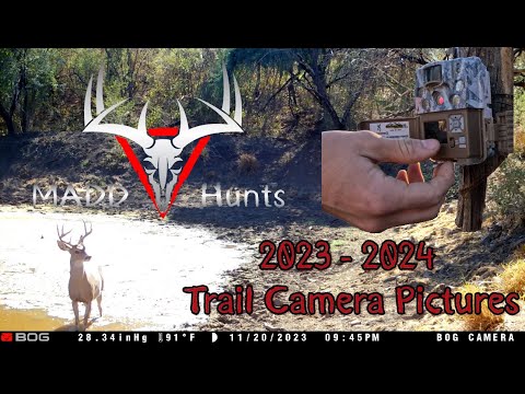 23-24 Trail Camera Compilation 23-24 Trail Camera Compilation