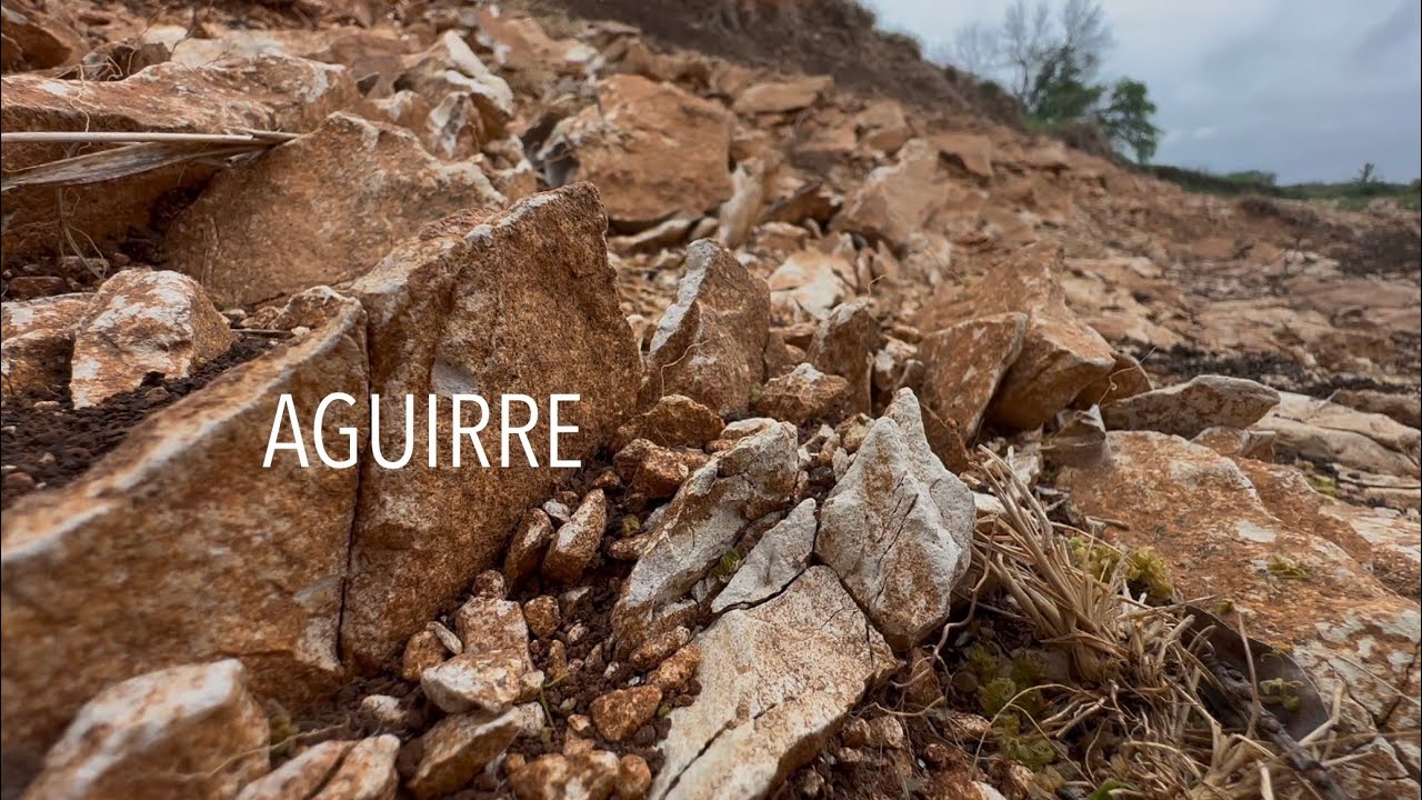 Aguirre