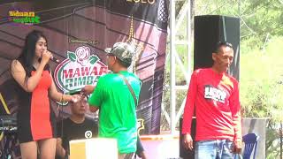 Download lagu AINI  ZAFARA GALA GALA (cover) NEW MAWAR RIMBA live PANTAI GOA CEMARA BANTUL YOGYAKARTA mp3