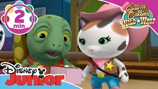 Sheriff Callie | A Dangerous Journey | Disney Junior UK