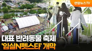 대표 반려동물 축제 '임실N펫스타' 개막 / 연합뉴스TV (YonhapnewsTV)