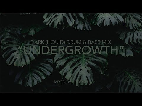 "Undergrowth" ~ Dark Drum & Bass Mix