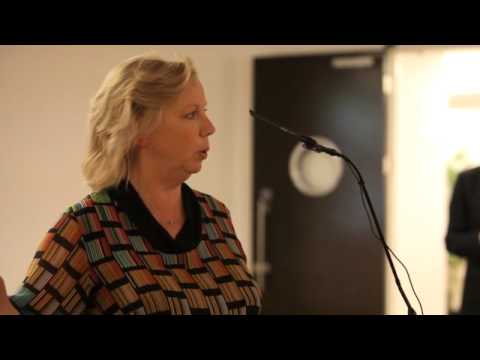 On the microfinance (2012)