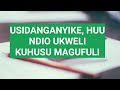 MUHIMU; Denis Mpagaze -UKWELI Wote Kuhusu Rais MAGUFULI JPM. ~Ananias Edgar