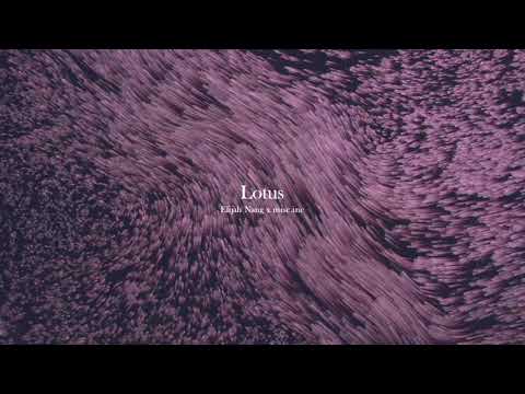 Elijah Nang x Misc.inc - Lotus