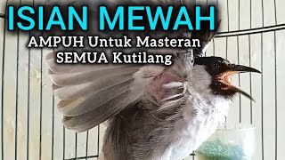 Download lagu Suara Burung Kutilang Gacor ISIAN MEWAH Untuk Masteran Semua Kutilang mp3