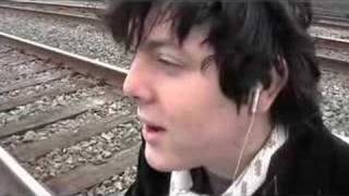 stellastarr*-&quot;In The Walls&quot;