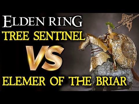 ELDEN RING BOSS VS. BOSS: Tree Sentinel VS. Elemer of the Briar!