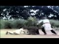 The Buddha Assassinator Part 10