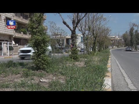 بەڤیدیۆ.. بە درێژایی كیلۆمەترێك بلواری شەقامی پاركی ئازادی لە سلێمانی نۆژەندەكرێتەوە