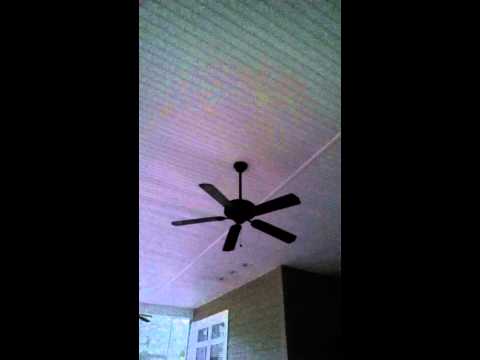 Quad copter vs ceiling fan