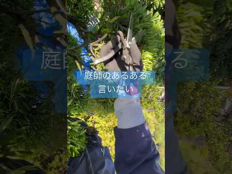 jardin-alpin-idées-verdoyant-marches-dalles-pierre