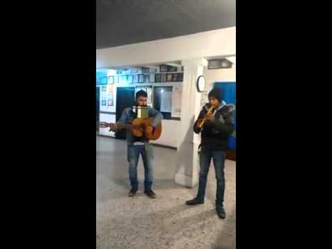 vientos del sur, monte punku y leño verde