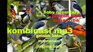 Download lagu TERBARU SUARA PIKAT BURUNG 💯💯‼️KOMBINASI GLATIK BATU JINGJING BATU MANTENAN mp3 Download lagu TERBARU SUARA PIKAT BURUNG 💯💯‼️KOMBINASI GLATIK BATU JINGJING BATU MANTENAN mp3