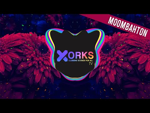 Fasta x Azz Music x Miroo - Fat Gyal