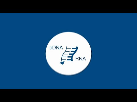 How to achieve faster, simpler, more efficient cDNA synthesis