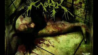 Top 15 Death Metal 20th