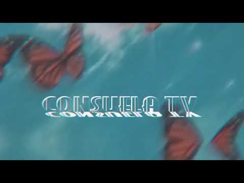 Tinice Flat Snake Necklace Gold Plated