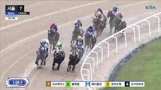 페더럴킹,단승식 56.8배 우승
