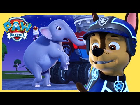 Mission PAW, Sea Patrol and More! ⚓️| PAW Patrol | Cartoons for Kids