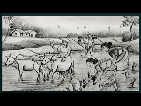 আমরা চাষ করি আনন্দে মাঠে মাঠে বেলা কাটে= easy pencil sketch scenery drawing,village scenery drawing,