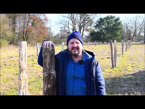 Wir pflanzen Esskastanienbäume