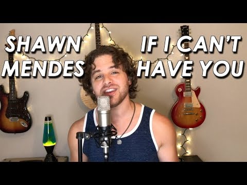 Shawn Mendes - If I Can't Have You (Cover by Brian Palay)