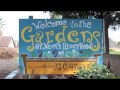 Seed To Preschool Urban Farm