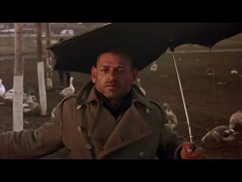 Time of the Gypsies (1988) - Intro - Emir Kusturica - Davor Dujmovic - Bora Todorovic - English Sub