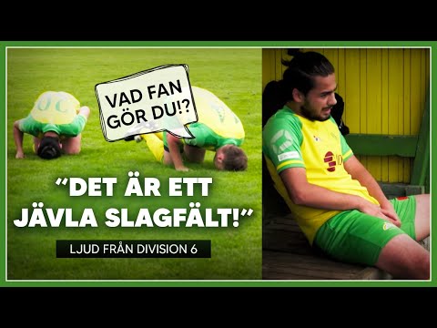 Ljud från division 6